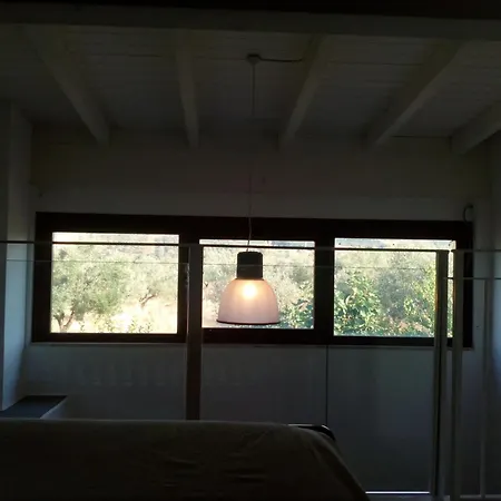 Piccolo Albero ロレート・アプルティーノ