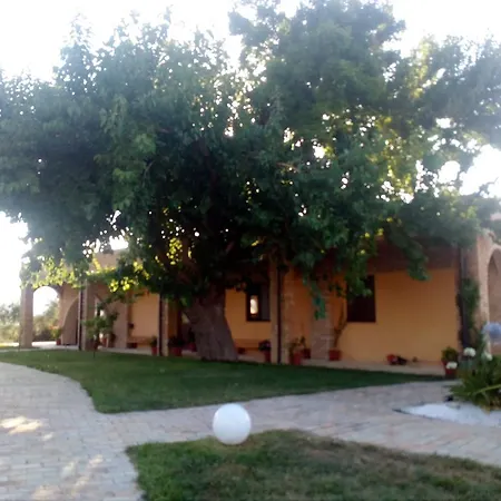 Piccolo Albero * Loreto Aprutino
