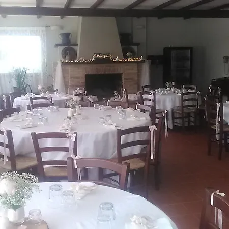 Piccolo Albero * Loreto Aprutino