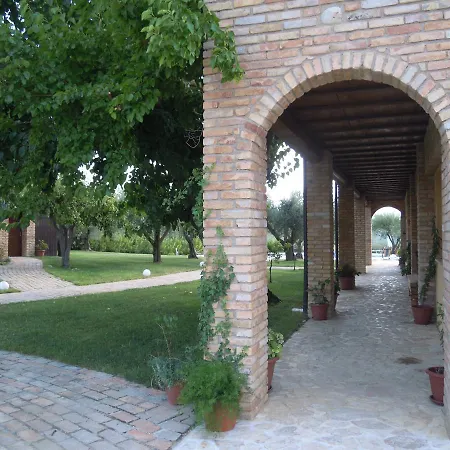 Piccolo Albero