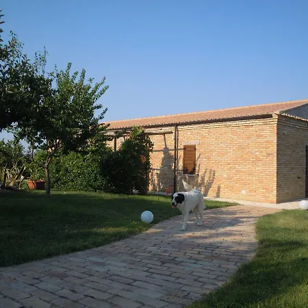 Piccolo Albero * Loreto Aprutino