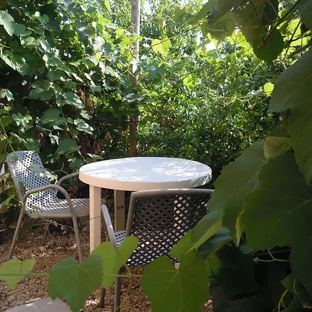 Piccolo Albero Agroturismo *
