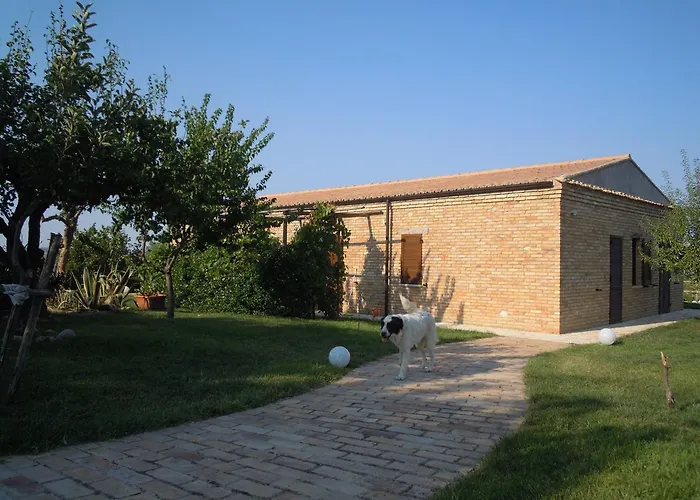 Piccolo Albero * Лорето-Апрутино